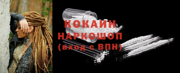 прущие грибы Баксан