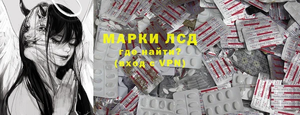 прущие грибы Баксан