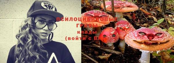 apvp Туринск