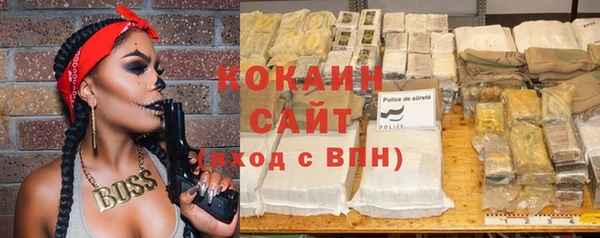 прущие грибы Баксан